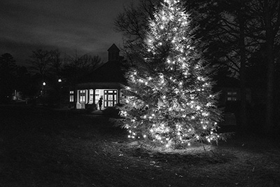 Christmas Tree at Night