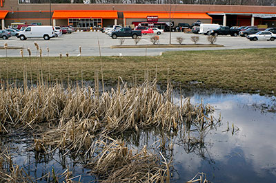 Home Depot and Wetland