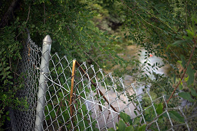 Fence and Stream