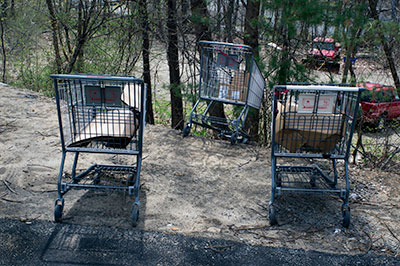 Three Shopping Carts