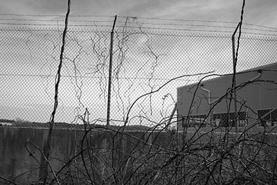 Dealership and Barbed Wire