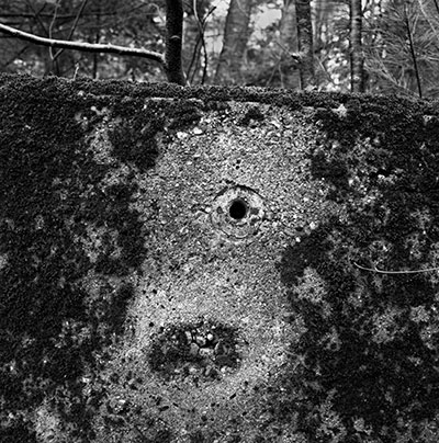 Face in Wall